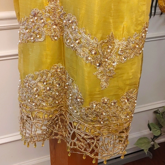 Embroidered fancy Multi color Pakistani/Indian 3Pc Shalwar suit Size M-L - Picture 10 of 15